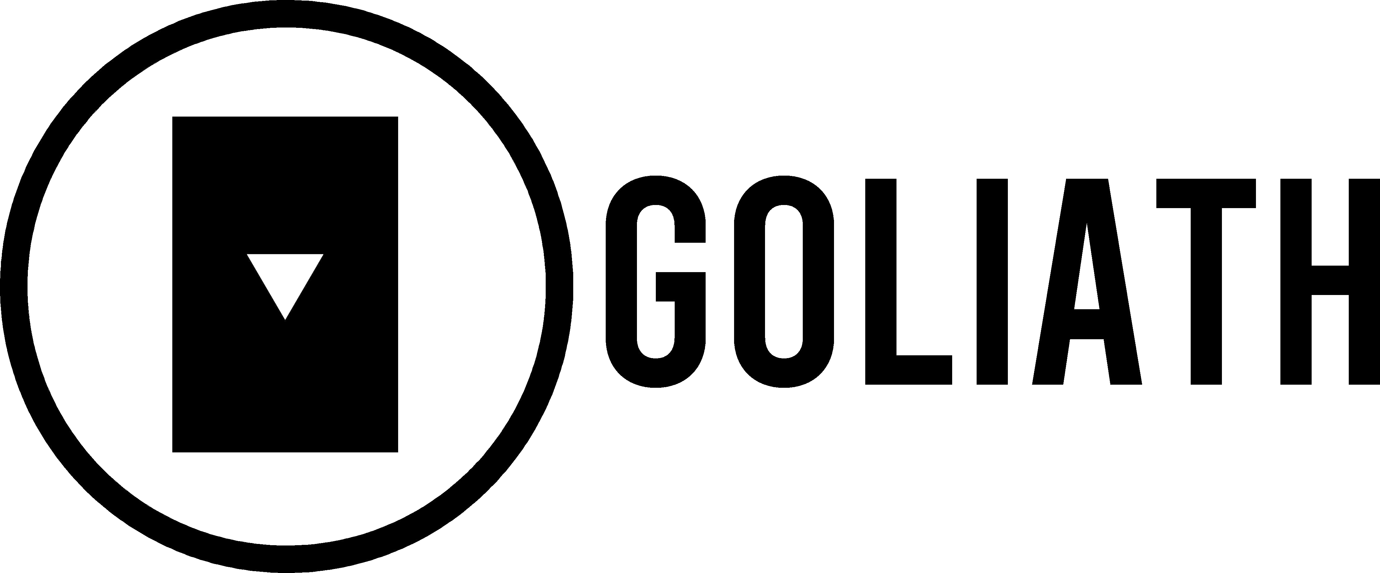 Big Guy Boards logo